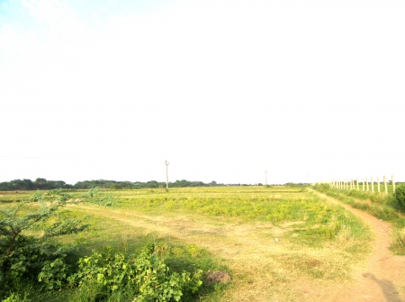 8) Li Id 222 - Pic 9.JPG